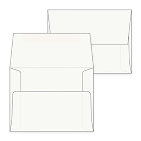 A1 / 4 Bar White Envelopes